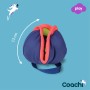Jouet d'entraînement Coachi CHASE & TREAT Bleu: Plus de 300.000 produits de grandes marques en vente directe à prix usine sur ca