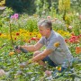 Sécateur à batterie Gardena Bypass: Plus de 300.000 produits de grandes marques en vente directe à prix usine sur cadeaufou.com.