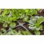 Connecteur de tuyau Gardena Easy & Flexible 13214-20 Croix 3/16 4,6 mm 10 Unités: Plus de 300.000 produits de grandes marques en