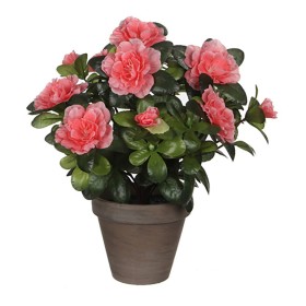 Plante décorative Mica Decorations 11,5 x 27 x 20 cm: Plus de 300.000 produits de grandes marques en vente directe à prix usine 