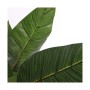 Plante décorative Mica Decorations Oiseaux de paradis 60 x 110 cm Polyuréthane: Plus de 300.000 produits de grandes marques en v
