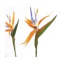 Plante décorative Mica Decorations Oiseaux de paradis 60 x 110 cm Polyuréthane: Plus de 300.000 produits de grandes marques en v