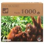 Puzzle Colorbaby Orangutan 6 Unités 68 x 50 x 0,1 cm: Plus de 300.000 produits de grandes marques en vente directe à prix usine 