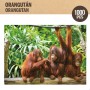 Puzzle Colorbaby Orangutan 6 Unités 68 x 50 x 0,1 cm: Plus de 300.000 produits de grandes marques en vente directe à prix usine 