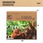 Puzzle Colorbaby Orangutan 6 Unités 68 x 50 x 0,1 cm: Plus de 300.000 produits de grandes marques en vente directe à prix usine 