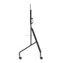 Support de TV Neomounts FL50-525BL1 55 86 76 Kg: Plus de 300.000 produits de grandes marques en vente directe à prix usine sur c