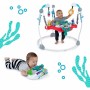 Centre d'activités Baby Einstein Ocean Explorers: Plus de 300.000 produits de grandes marques en vente directe à prix usine sur 