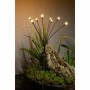 Borne de jardin solaire Galix G4435: Plus de 300.000 produits de grandes marques en vente directe à prix usine sur cadeaufou.com
