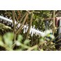 Taille-haie Gardena G9834-20 600 W 55 cm: Plus de 300.000 produits de grandes marques en vente directe à prix usine sur cadeaufo