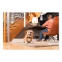 Collier d'entraînement pour chiens PetSafe: Plus de 300.000 produits de grandes marques en vente directe à prix usine sur cadeau
