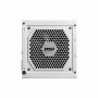 Bloc d’Alimentation MSI MAG A850GL 850 W 80 Plus Gold: Plus de 300.000 produits de grandes marques en vente directe à prix usine