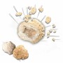 Jeu de société SES Creative Explore Geodes (FR): Plus de 300.000 produits de grandes marques en vente directe à prix usine sur c