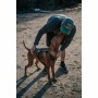 Harnais pour Chien Kurgo Noir: Plus de 300.000 produits de grandes marques en vente directe à prix usine sur cadeaufou.com. Labe