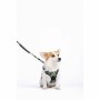 Harnais pour Chien MPETS HIKING Vert M: Plus de 300.000 produits de grandes marques en vente directe à prix usine sur cadeaufou.