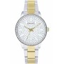 Montre Femme Radiant RA578203 (Ø 38 mm): Plus de 300.000 produits de grandes marques en vente directe à prix usine sur cadeaufou