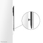 Support de TV Neomounts WL30-750BL18P 100 kg 98: Plus de 300.000 produits de grandes marques en vente directe à prix usine sur c