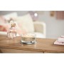 Bougie Parfumée Yankee Candle Amber & Sandalwood 340 g: Plus de 300.000 produits de grandes marques en vente directe à prix usin