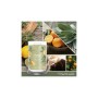 Bougie Parfumée Yankee Candle Sage & Citrus 567 g: Plus de 300.000 produits de grandes marques en vente directe à prix usine sur
