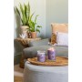 Bougie Parfumée Yankee Candle Stargazing 567 g: Plus de 300.000 produits de grandes marques en vente directe à prix usine sur ca