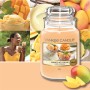 Bougie Parfumée Yankee Candle Mango Ice Cream 623 g: Plus de 300.000 produits de grandes marques en vente directe à prix usine s