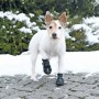 Manteau pour Chien Trixie 19461 Noir: Plus de 300.000 produits de grandes marques en vente directe à prix usine sur cadeaufou.co