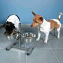 Mangeoire pour chiens Trixie: Plus de 300.000 produits de grandes marques en vente directe à prix usine sur cadeaufou.com. Label