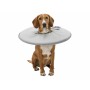 Collier de protection Isabelino pour chiens Trixie Gris (38-42 cm): Plus de 300.000 produits de grandes marques en vente directe