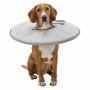 Collier de protection Isabelino pour chiens Trixie Gris (38-42 cm): Plus de 300.000 produits de grandes marques en vente directe
