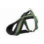 Harnais pour Chien Trixie Confort New Premium Vert XS/S: Plus de 300.000 produits de grandes marques en vente directe à prix usi