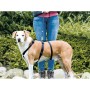 Harnais de guidage pour chien Trixie Stay Noir M/L: Plus de 300.000 produits de grandes marques en vente directe à prix usine su