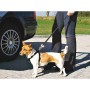Harnais pour Chien Trixie Noir XS Voiture: Plus de 300.000 produits de grandes marques en vente directe à prix usine sur cadeauf