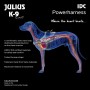 Harnais pour Chien Julius K9 IDC Cow-boy 2 Baby 2 (XS/S): Plus de 300.000 produits de grandes marques en vente directe à prix us