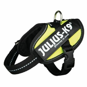 Harnais pour Chien Julius K9 IDC Jaune 2 Baby 2 (XS/S): Plus de 300.000 produits de grandes marques en vente directe à prix usin