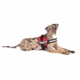 Harnais pour Chien Julius K9 Power Rouge L/XL 2: Plus de 300.000 produits de grandes marques en vente directe à prix usine sur c