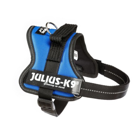 Harnais pour Chien Julius K9 Power Bleu M: Plus de 300.000 produits de grandes marques en vente directe à prix usine sur cadeauf