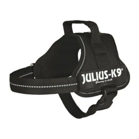 Harnais pour Chien Julius K9 Power Noir M: Plus de 300.000 produits de grandes marques en vente directe à prix usine sur cadeauf