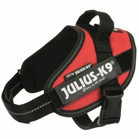 Harnais pour Chien Julius K9 IDC Rouge M: Plus de 300.000 produits de grandes marques en vente directe à prix usine sur cadeaufo
