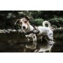 Harnais pour Chien Julius K9 Power XL 3: Plus de 300.000 produits de grandes marques en vente directe à prix usine sur cadeaufou