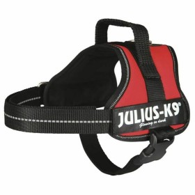 Harnais pour Chien Julius K9 Power Rouge M: Plus de 300.000 produits de grandes marques en vente directe à prix usine sur cadeau