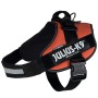 Harnais pour Chien Julius K9 IDC Orange XL 3 82-118 CM: Plus de 300.000 produits de grandes marques en vente directe à prix usin