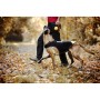 Harnais pour Chien Julius K9 IDC L/XL 2: Plus de 300.000 produits de grandes marques en vente directe à prix usine sur cadeaufou
