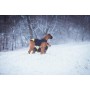 Harnais pour Chien Julius K9 IDC L/XL 2: Plus de 300.000 produits de grandes marques en vente directe à prix usine sur cadeaufou