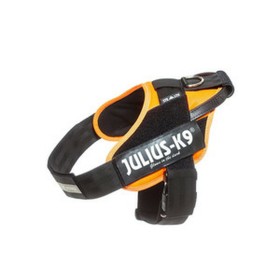 Harnais pour Chien Julius K9 IDC Orange L/XL 2 71-96 cm: Plus de 300.000 produits de grandes marques en vente directe à prix usi