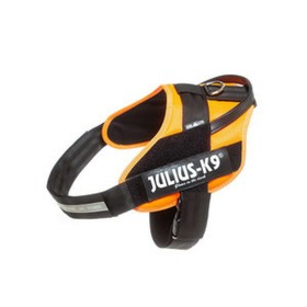 Harnais pour Chien Julius K9 IDC Orange L 1 66-85 cm: Plus de 300.000 produits de grandes marques en vente directe à prix usine 