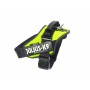 Harnais pour Chien Julius K9 IDC Jaune L/XL 2: Plus de 300.000 produits de grandes marques en vente directe à prix usine sur cad