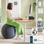 Siège Leitz [Ergo Active] Gris foncé: Plus de 300.000 produits de grandes marques en vente directe à prix usine sur cadeaufou.co
