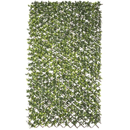 Treillis Natural Lierre osier Bambou 2 x 200 x 100 cm: Plus de 300.000 produits de grandes marques en vente directe à prix usine