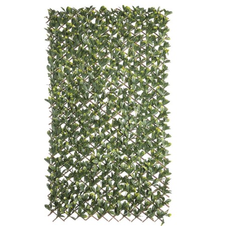 Treillis Natural Laurel osier Bambou 2 x 200 x 100 cm: Plus de 300.000 produits de grandes marques en vente directe à prix usine