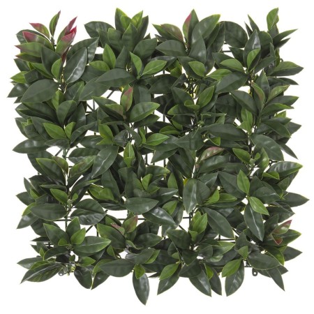 Clôture Laurel 50 x 50 x 2 cm: Plus de 300.000 produits de grandes marques en vente directe à prix usine sur cadeaufou.com. La