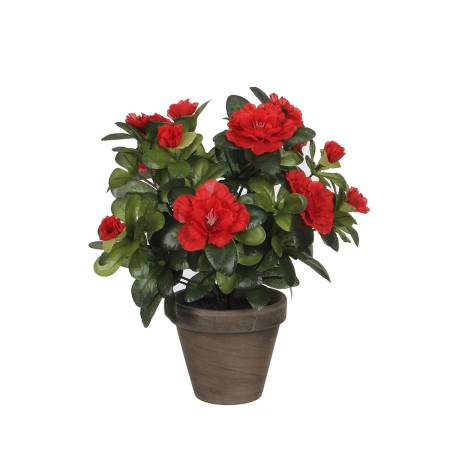 Plante décorative Mica Decorations 10,5 x 21,5 x 15 cm Azalée: Plus de 300.000 produits de grandes marques en vente directe à pr